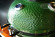 Керамический гриль SG с окошком, 57 см / 22 дюйма (зеленый) (Start Grill)